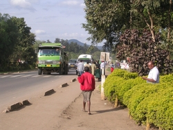 General scene of roadside